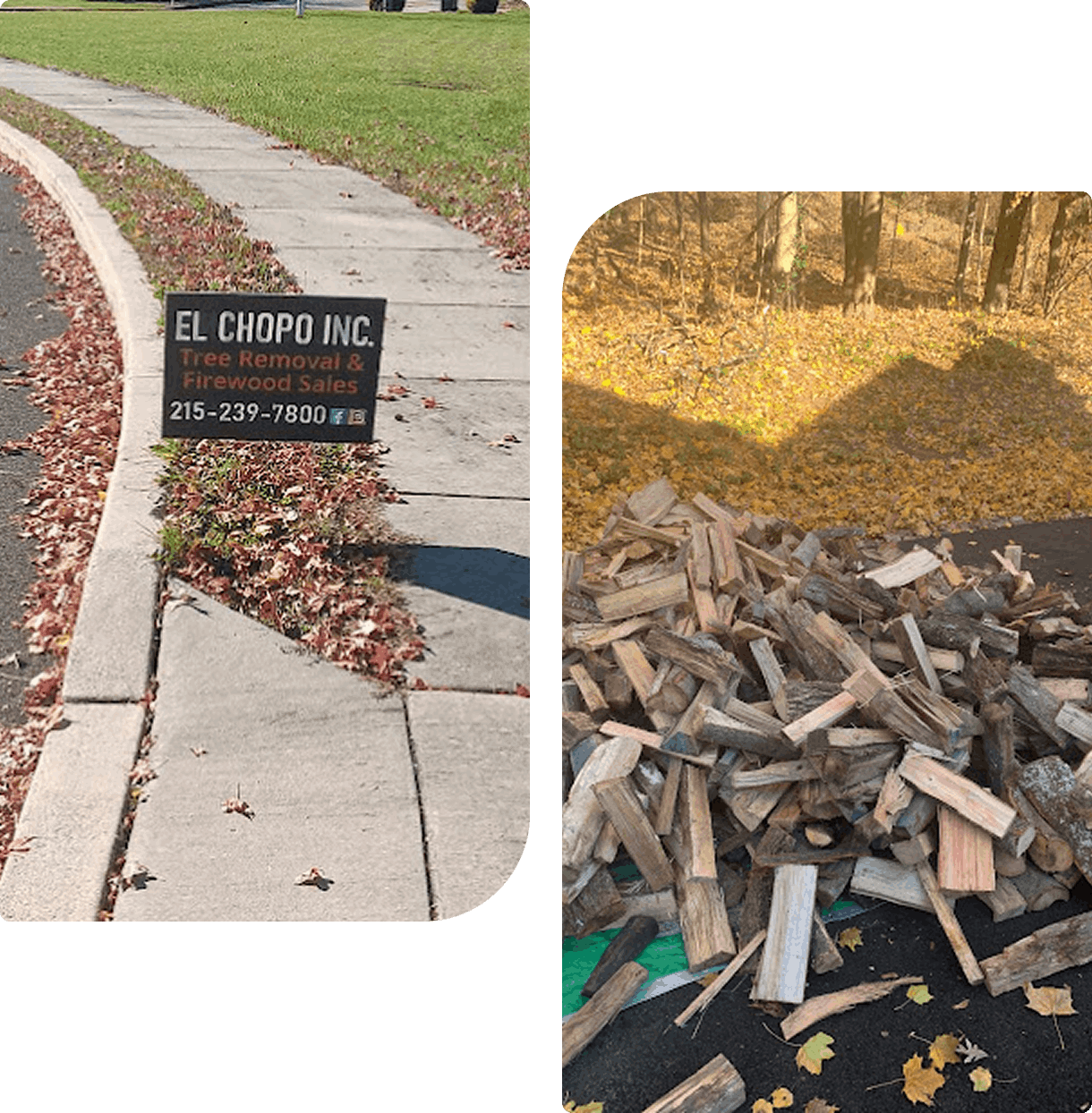 Left: Sign for "El Chopo Inc." tree removal and firewood sales by a sidewalk. Right: Pile of chopped firewood on the ground.