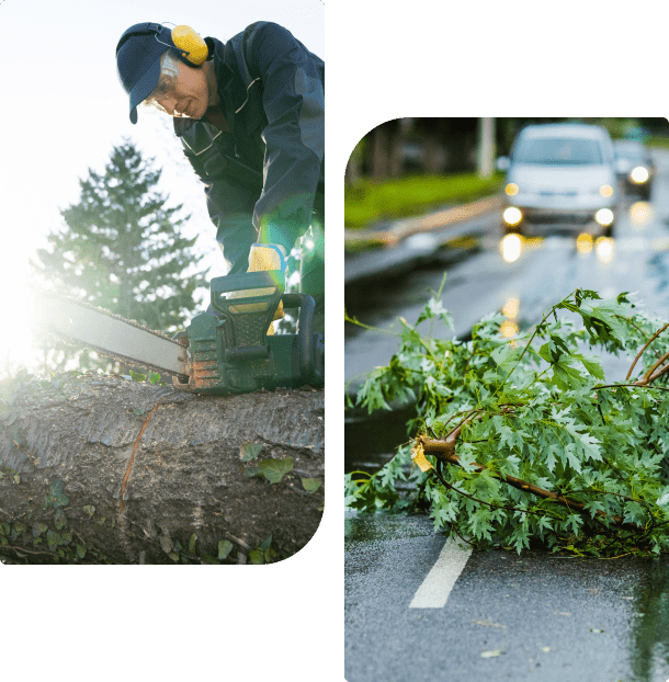 A worker uses a chainsaw on a large fallen tree. Separately, a fallen tree branch blocks a road with a car approaching in the background.