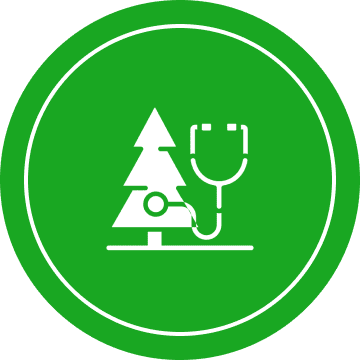 Icon depicting a white tree and stethoscope on a green circular background, symbolizing healthcare and nature.