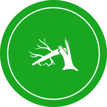 Icon of a broken tree trunk and branch in white on a green circular background.