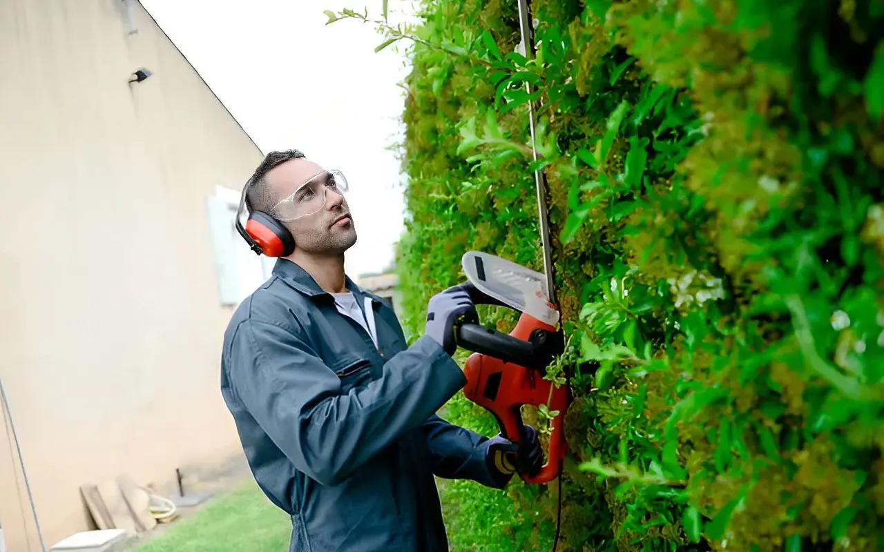 42459237-2a70-4daa-804f-76d002269741 (1) A man trimming a tree with a hedge trimmer.