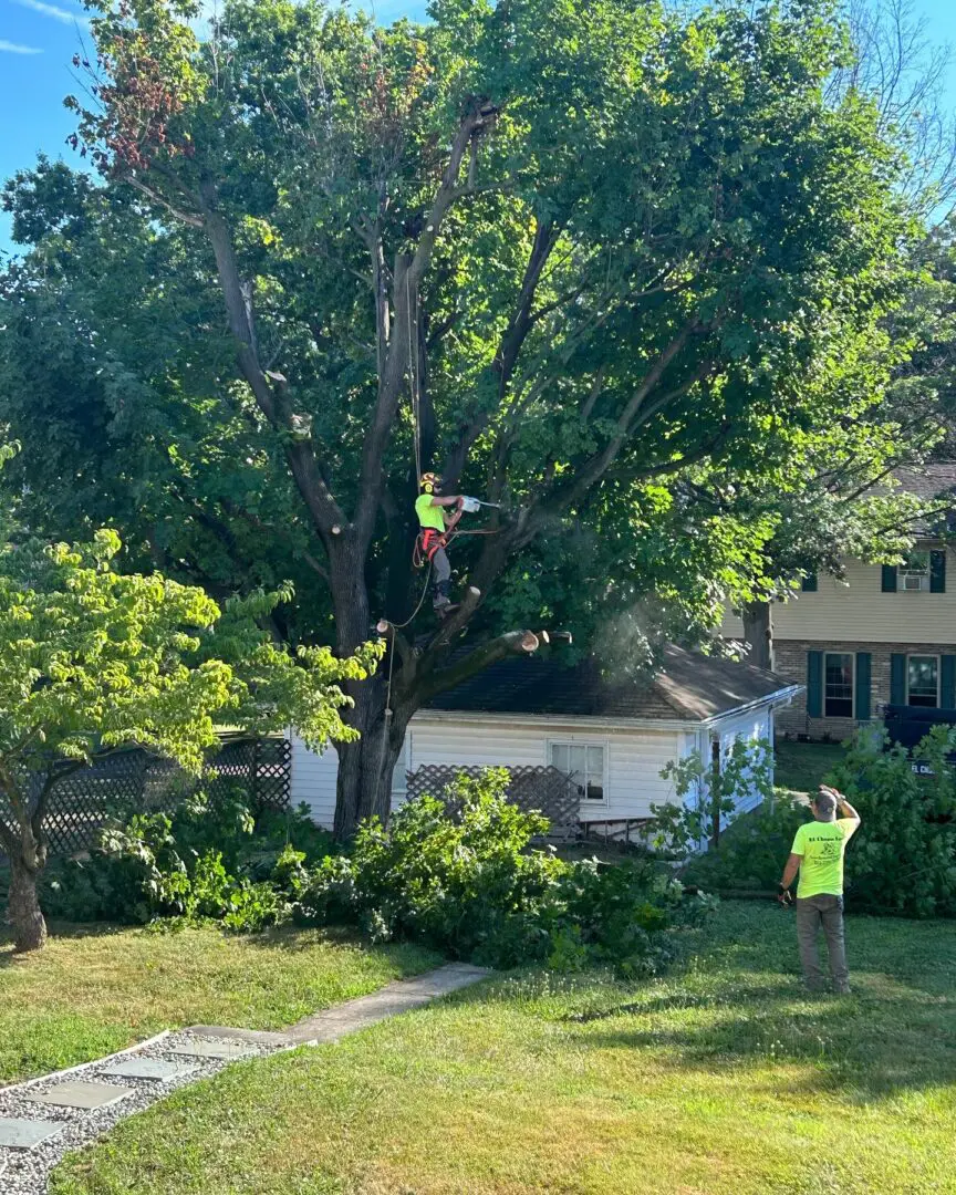 A man in yellow shirt standing next to tree.