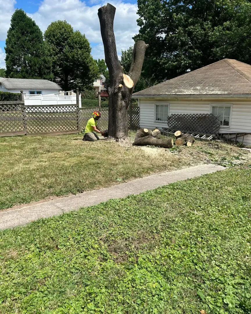 A man in yellow shirt standing next to tree.