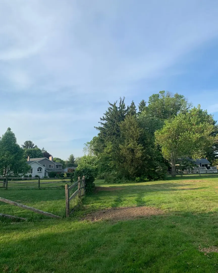 A grassy field with trees and houses in the background.