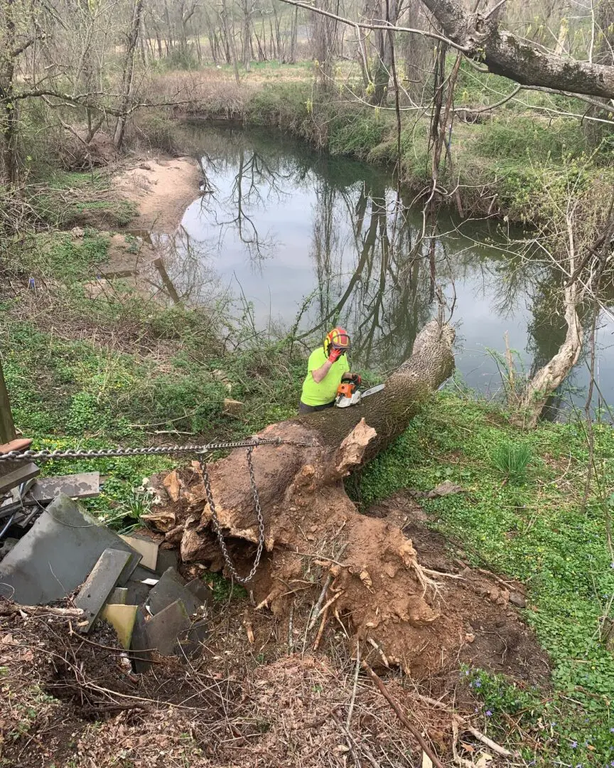 A man standing next to a fallen tree.
