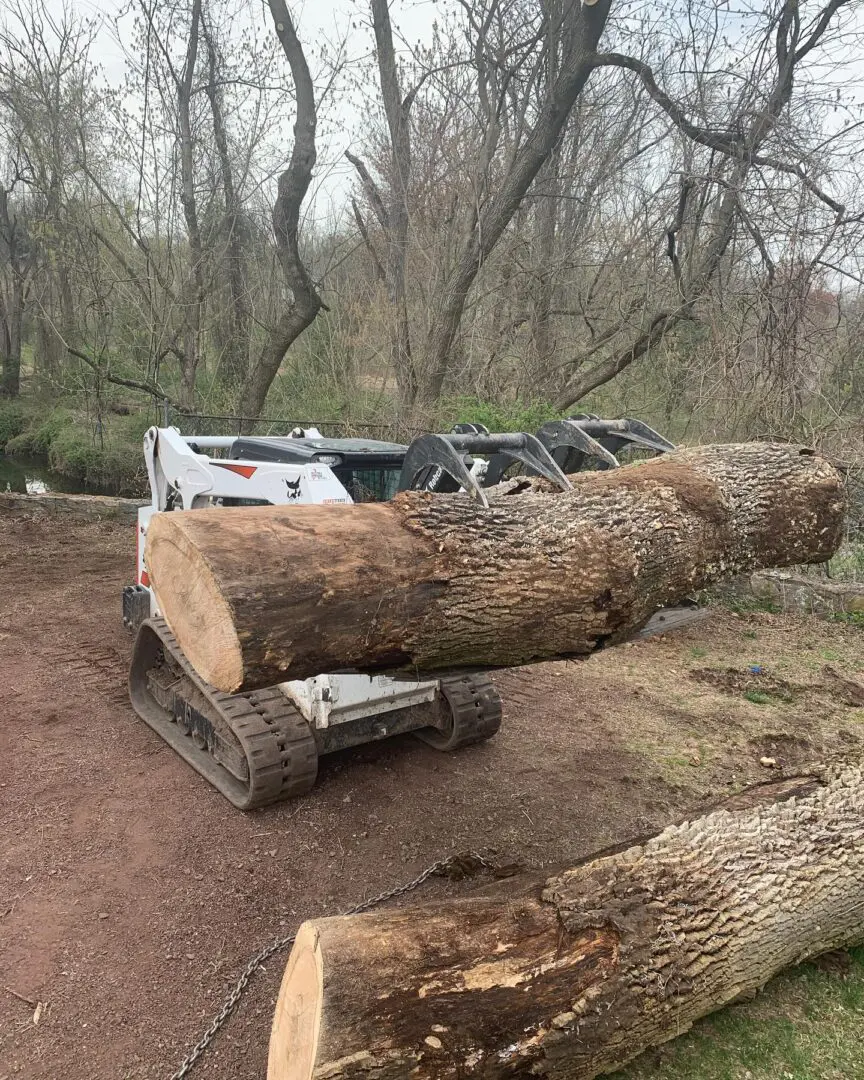 A large log is being cut by a tractor.