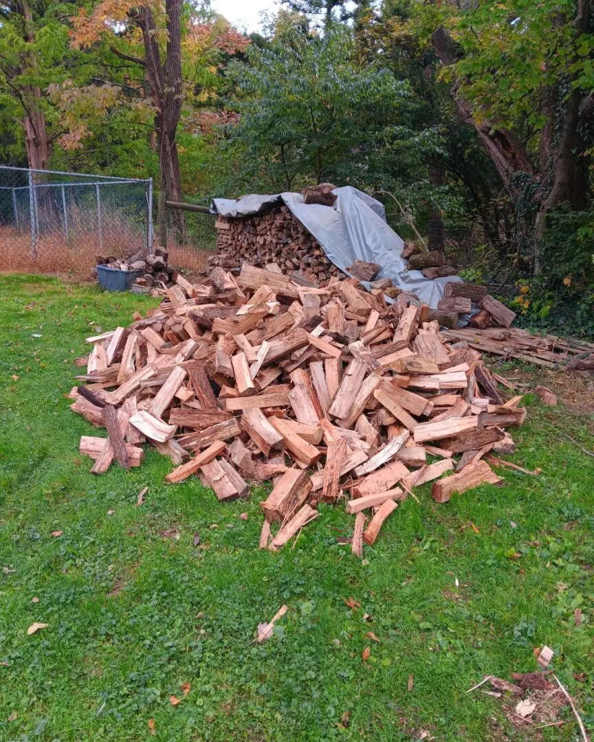 A pile of wood sitting in the grass.