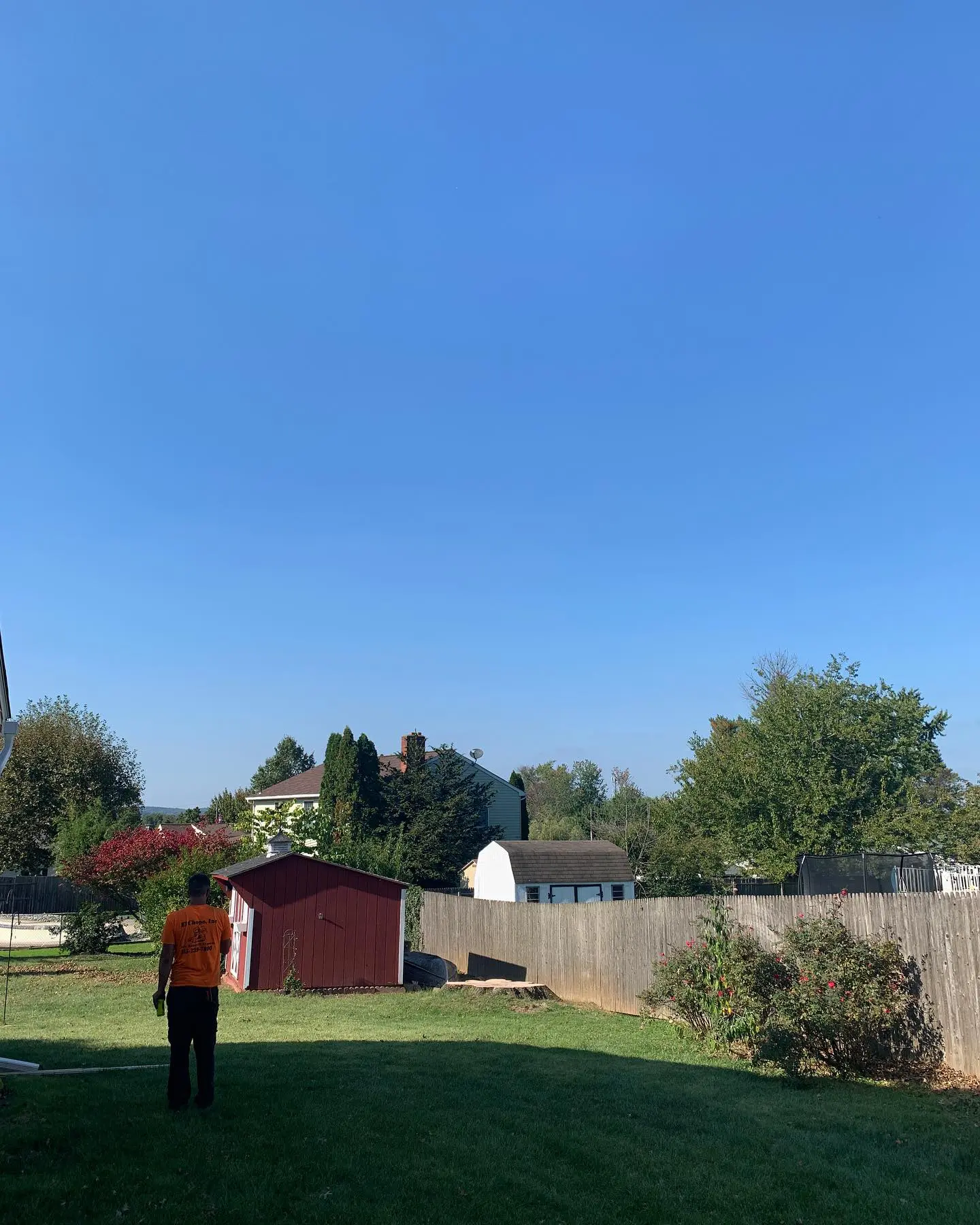 A person standing in the grass near some trees.