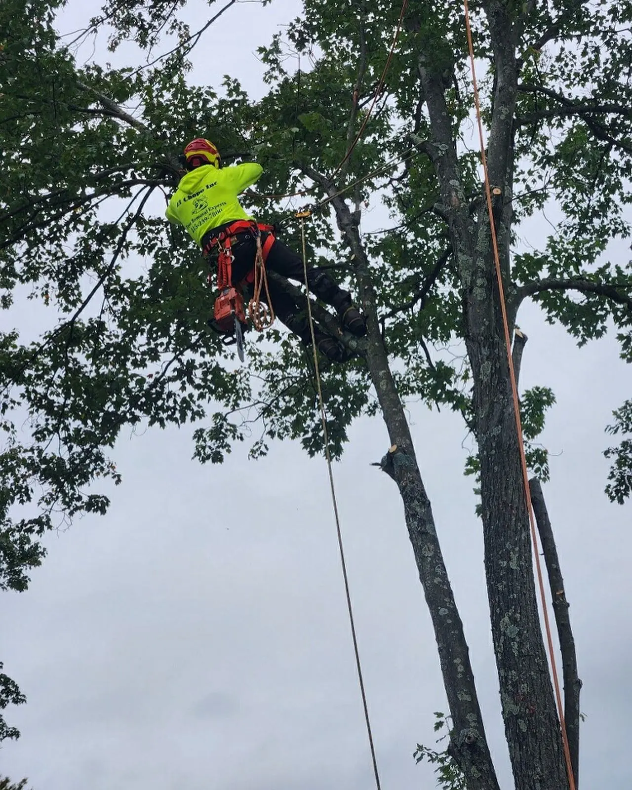 A man in yellow shirt on a rope.