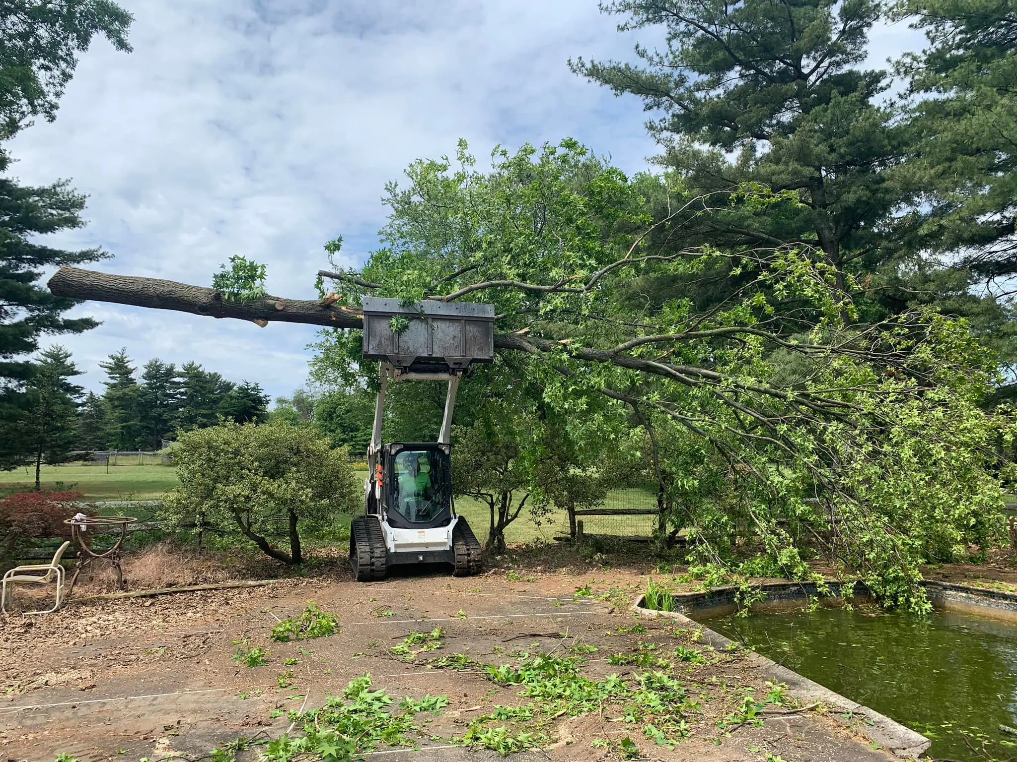 A tree is being cut down by a crane.