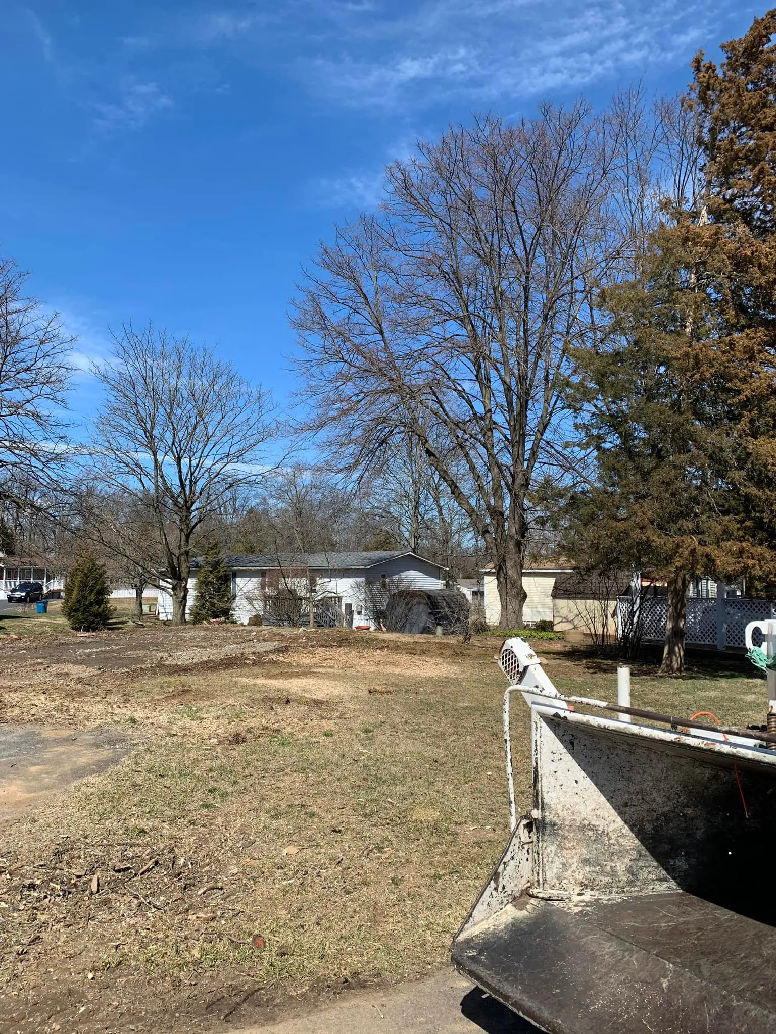 A view of some trees and a fence.