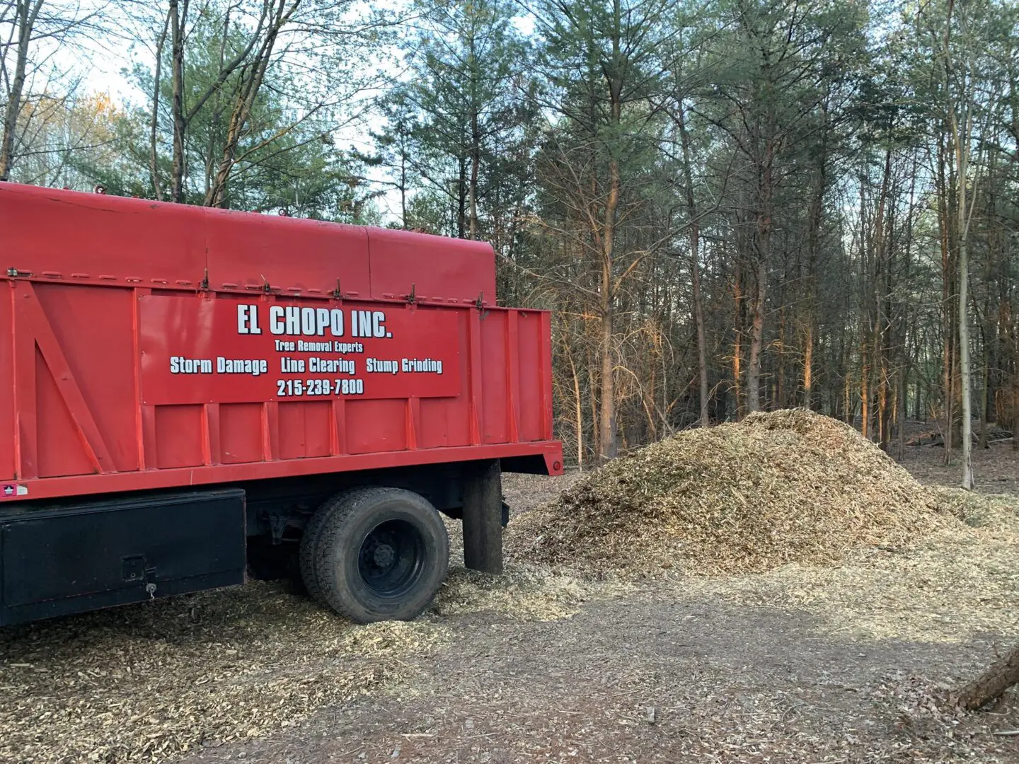 A red truck is parked in the woods