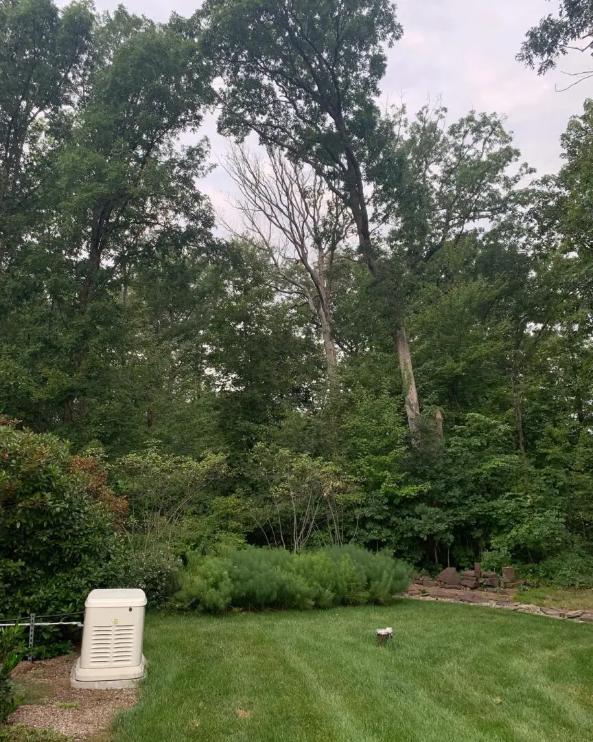 A white statue in the middle of a field.