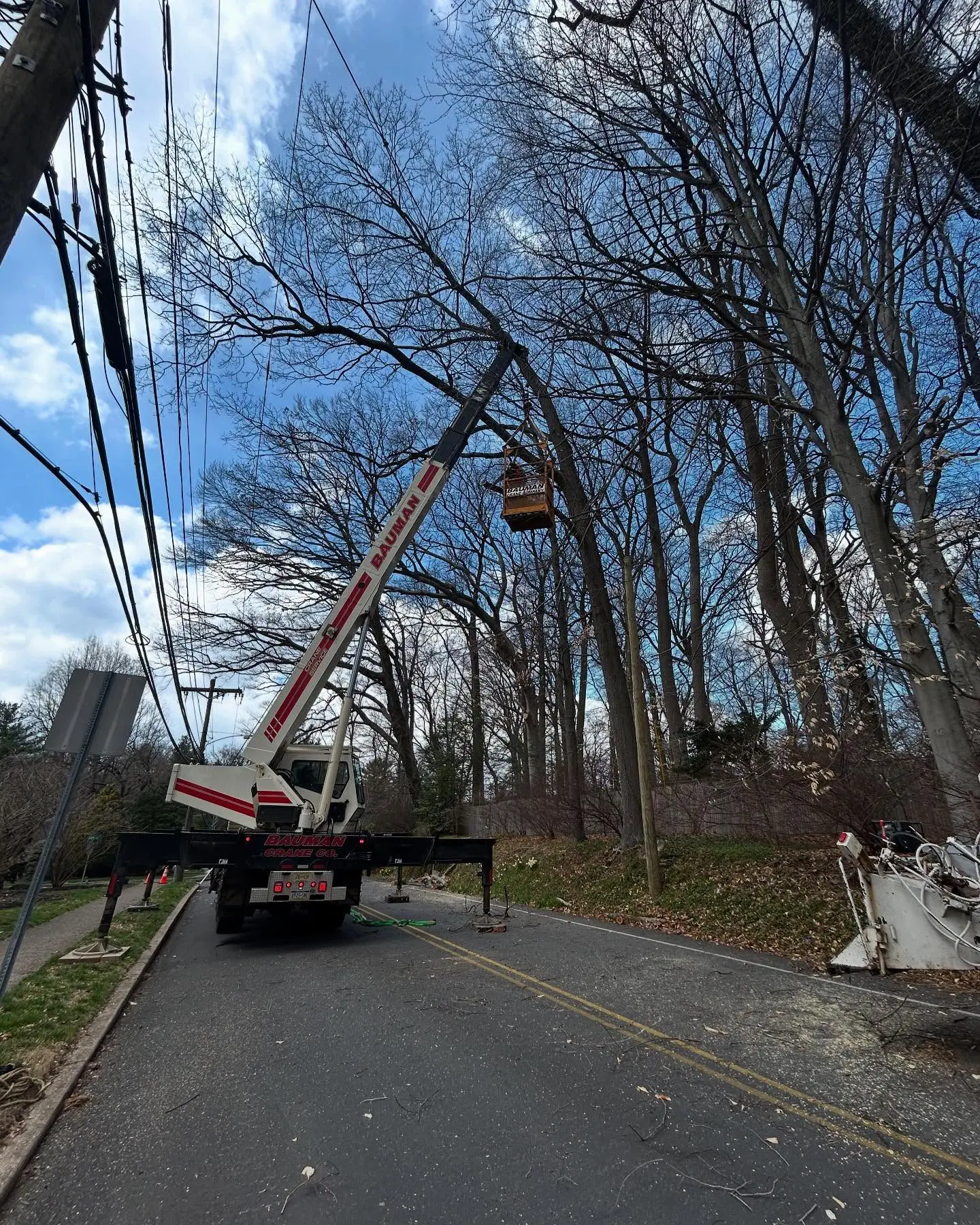 A crane is lifting up the wires on a tree.