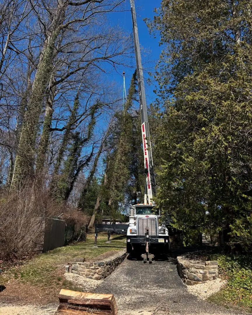 A crane is on the side of a road.