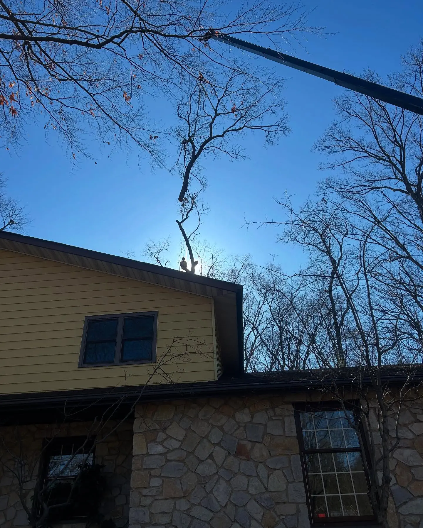 A house with trees in the background and a sky filled with blue.