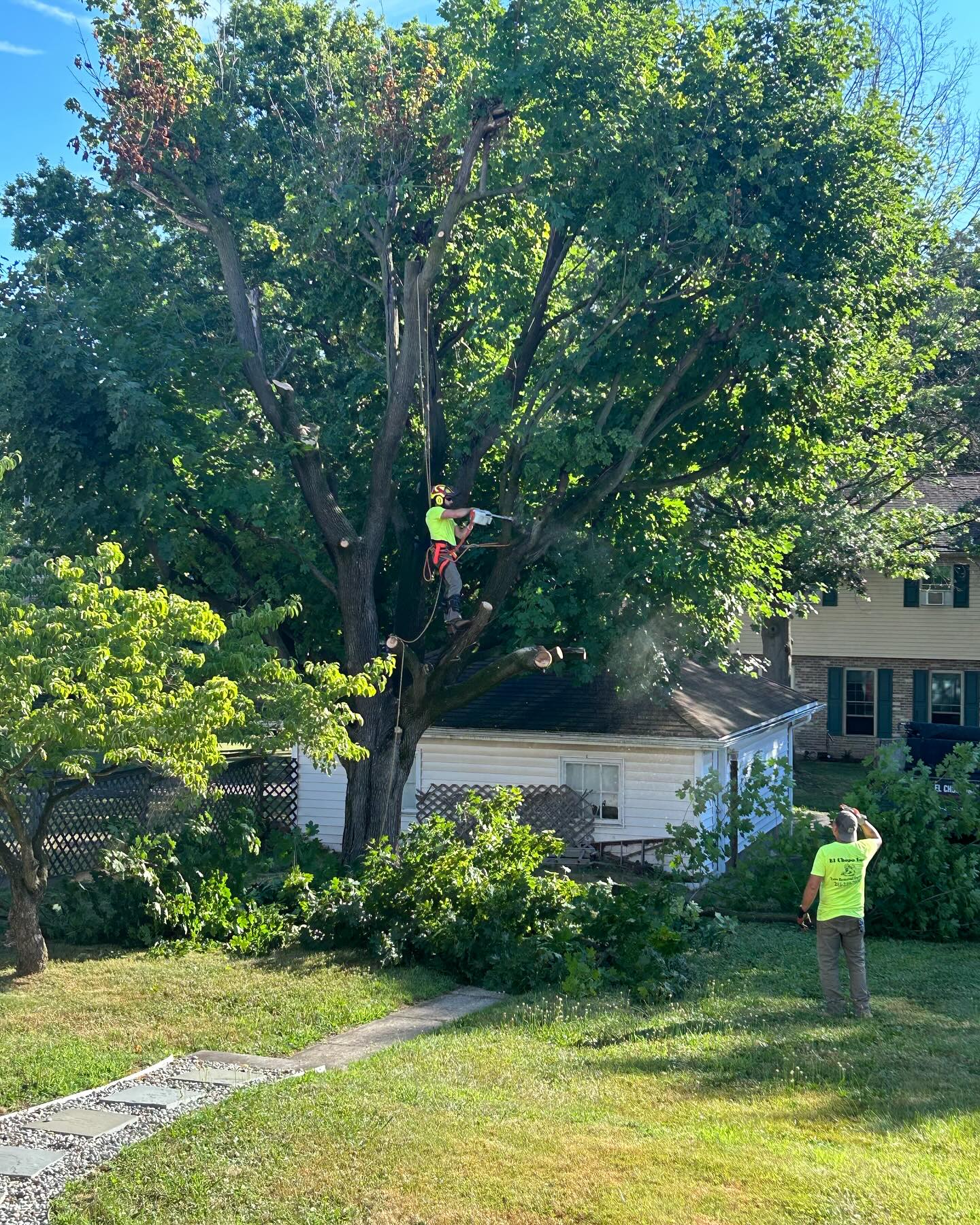 A man in yellow shirt standing next to tree.