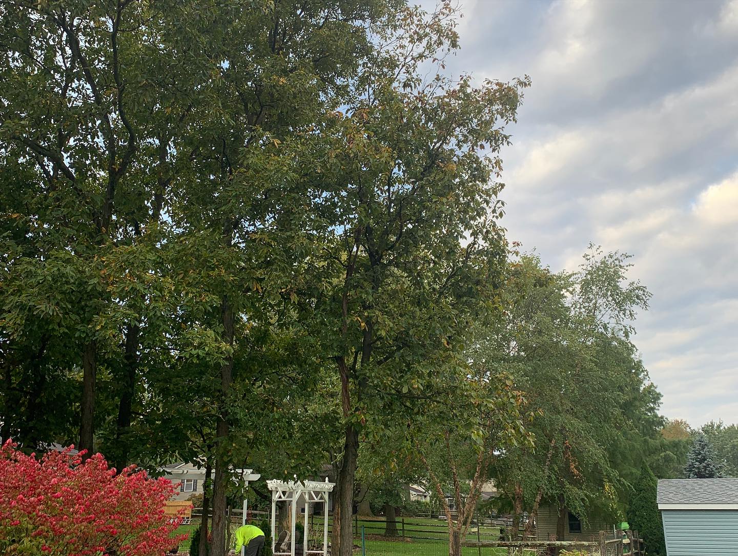 A park with trees and benches in the background.