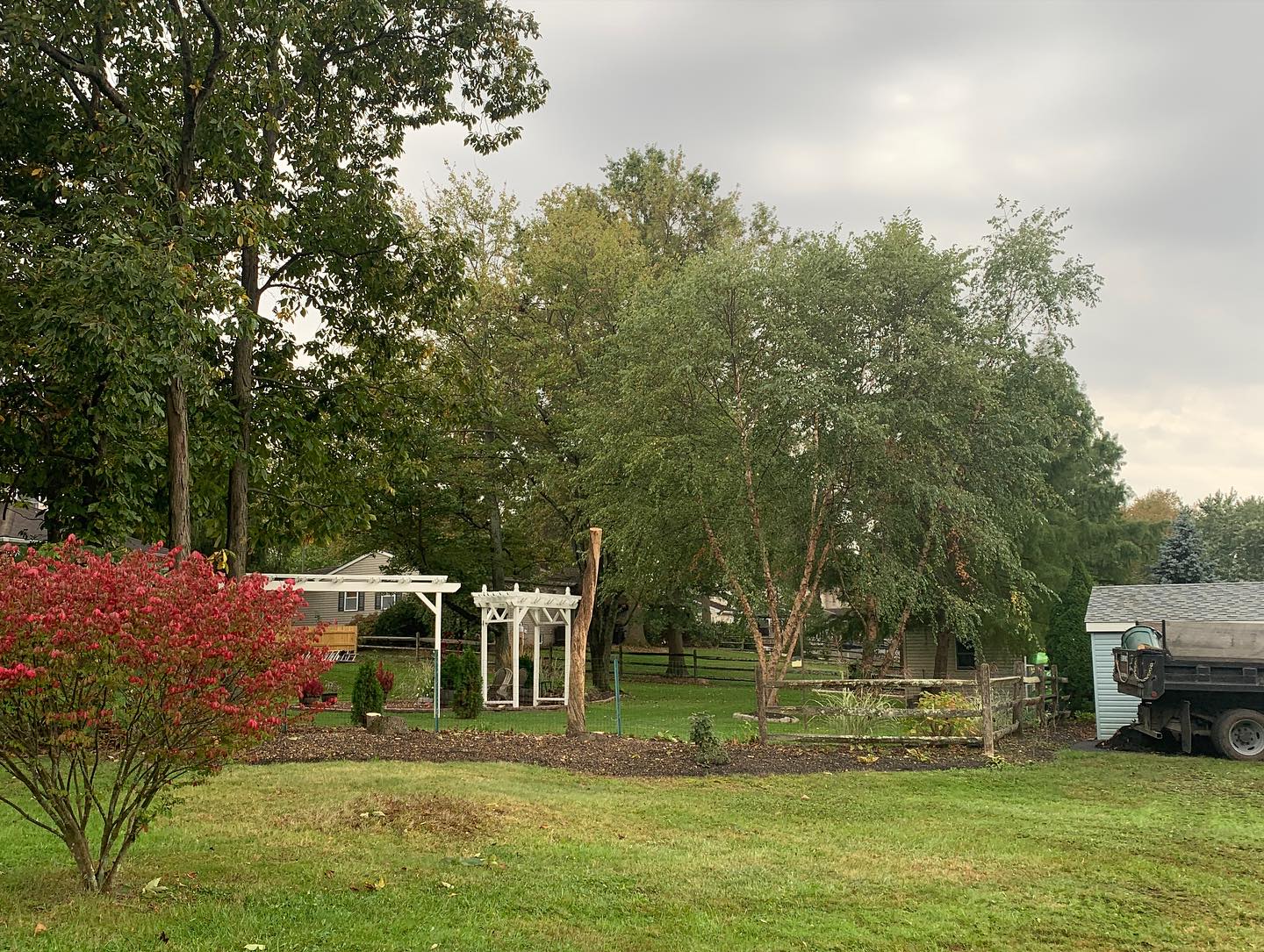 A garden with trees and flowers in the background.