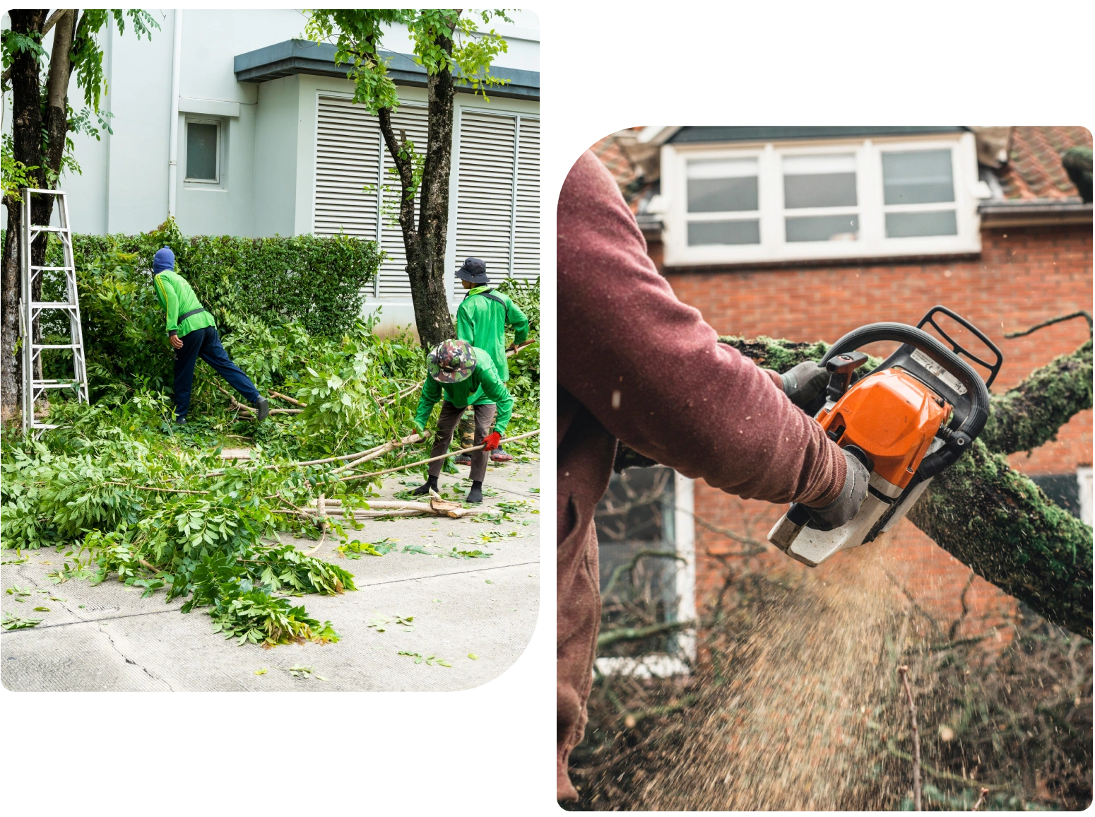 New Project A person cutting branches with an electric saw.