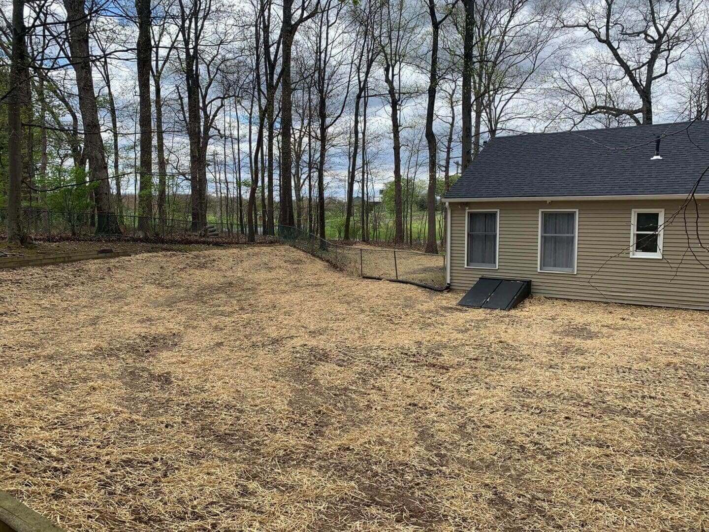 A small house sitting in the middle of some tall trees